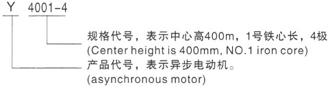 西安泰富西玛Y系列(H355-1000)高压YJTG-250M-8A/30KW三相异步电机型号说明