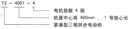 YR系列(H355-1000)高压YJTG-250M-8A/30KW三相异步电机西安西玛电机型号说明